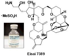 esai7389.jpg