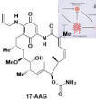 17-AAG
