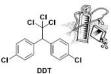 DDT