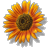userpic-14-100x100.png