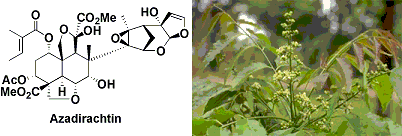 azadirachtin.gif