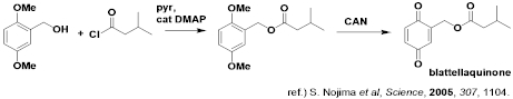 blattellaquinone2.jpg
