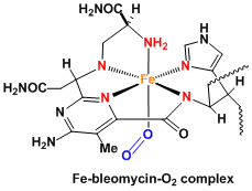 breomycin_2.gif