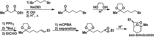 brevicomin2.gif