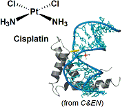 cisplatin_1.gif