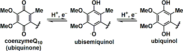 coenzyme_Q10_2.gif