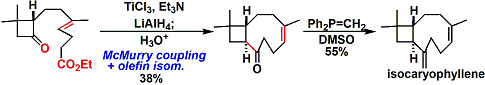 mcmurry_isocaryophyllene.gif