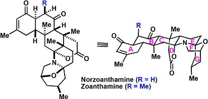 norzoanthamine.gif