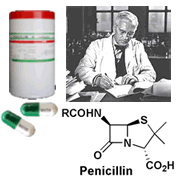 penicillin_1.gif