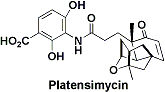 platensimycin.gif
