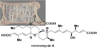 reveromycinA.jpg