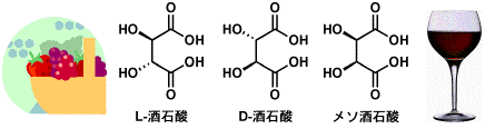 tartaric acid 2.gif