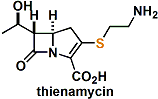 thienamycin.gif